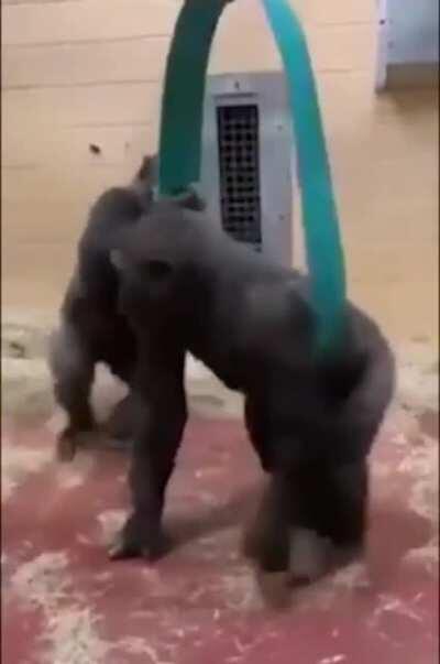 Here you go bro... wheeeee!!...