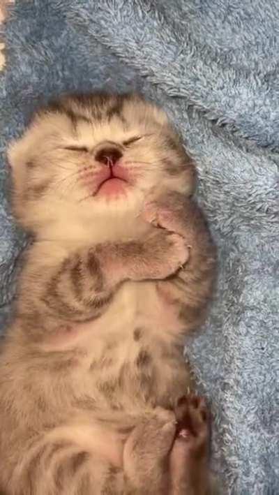 He's so cute when he sleeps