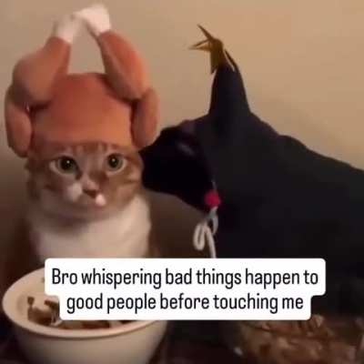 shahwiwgnsnokabsvcmsidi