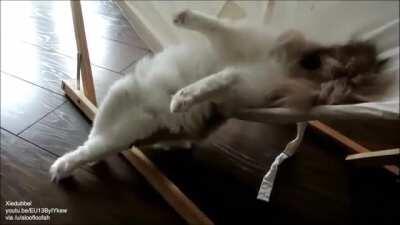 Multiple catculations