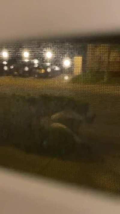 HMC: *Ba du nene dun* 😂