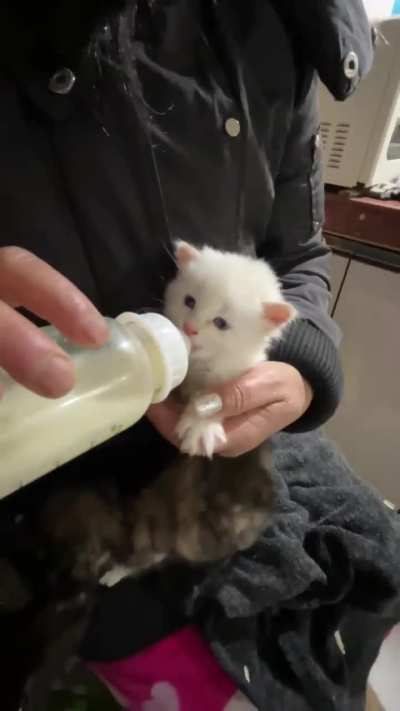 meahhhhhhh👩‍🍼