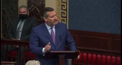 Ted Cruz Spent His 5 Minutes Asking Congress To Have An Investigation Before Certifying