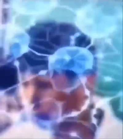 Şuna hala gülerim size de atim dedim baya iyi 