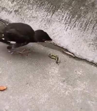 Still living with mom wunkus