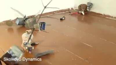 Upstairs Neighbours Robots by Skolkovo Dynamics