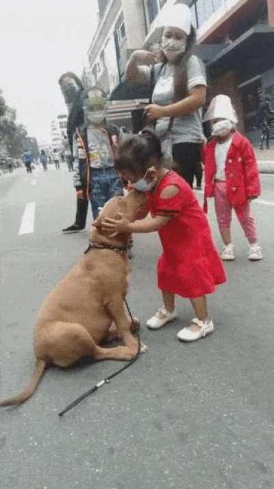 Such a good boy. And good owner for sure