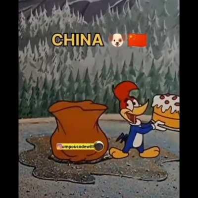 pica pau em live quando mufinha