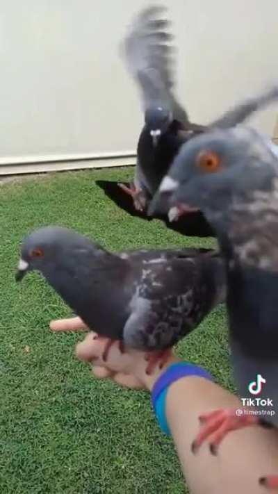 Is this a new software update?