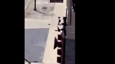 Guess he will never throw stones on cars anymore