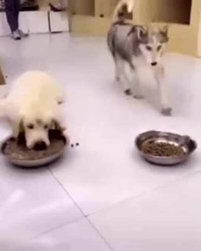 Oh lord here he comes, RUN FOR YOUR LIFE!