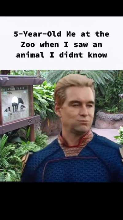 Iam asking the important questions 