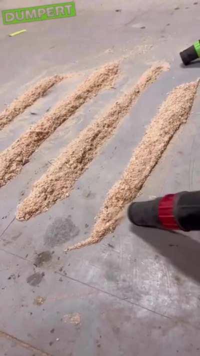 Sneak peek into what vaccum cleaners do when i am out on friday night ...