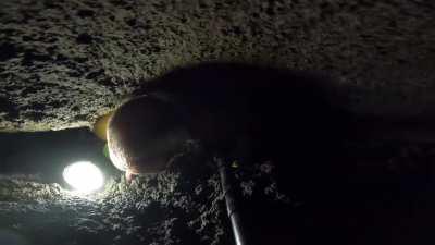 This is a hobby, he actually loves doing this...