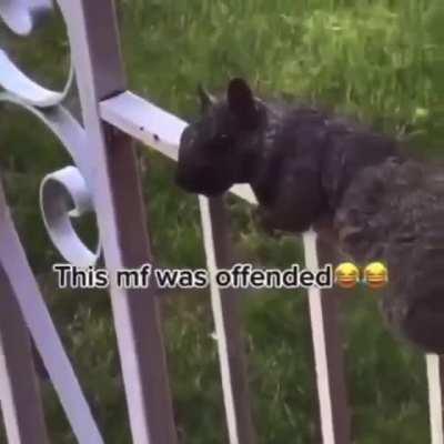 He definitely heard her