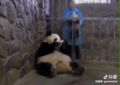 The ol’ apple/baby switch-a-roo