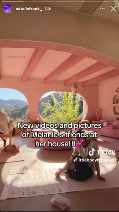 Melanie’s friends taking care of her dogs while she’s shooting MM4 in Seoul