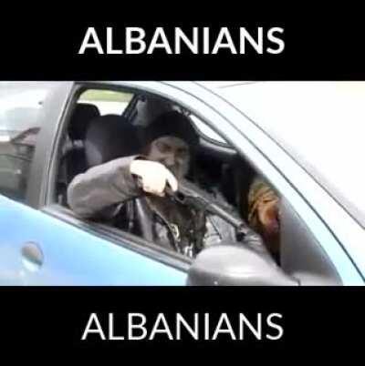 Analbanians in New York and chicago💪🏿💪🏿💪🏿💪🏿💪🏿