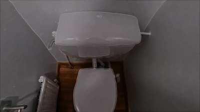 Nip to the toilet... Then again maybe not ( LSD quick peak )