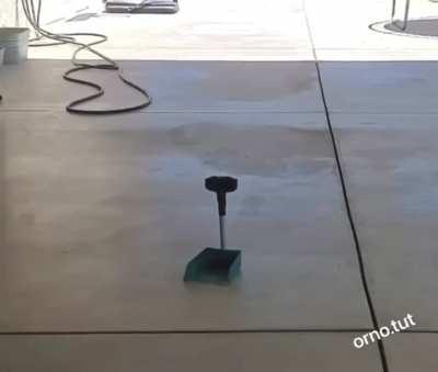 Dog cleans up his own poop