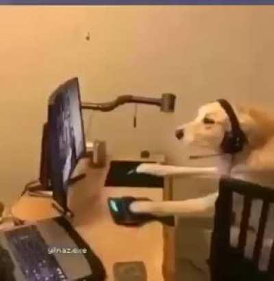 Too me irl for me irl