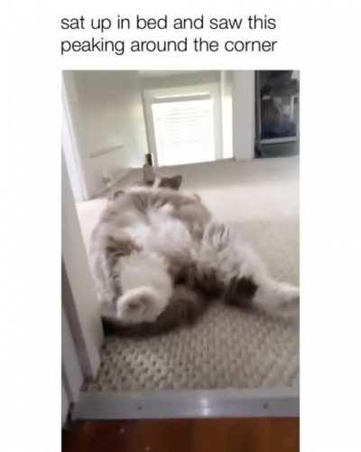 This belly ain't gonna rub itself ...