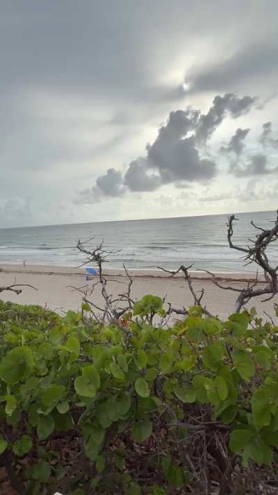 I could have been caught with cock in my mouth at any moment. Didn’t bother me tho