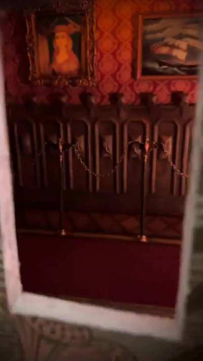 Miniature mouse home and hangout spots