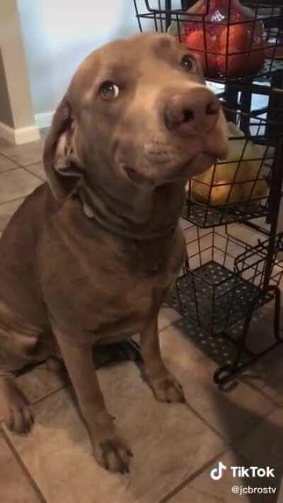 Just forgive him ok?