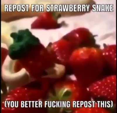 Repost for Strawberry Snake
