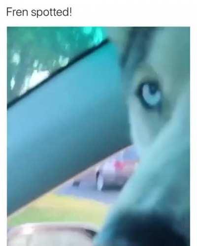 How best friends are made