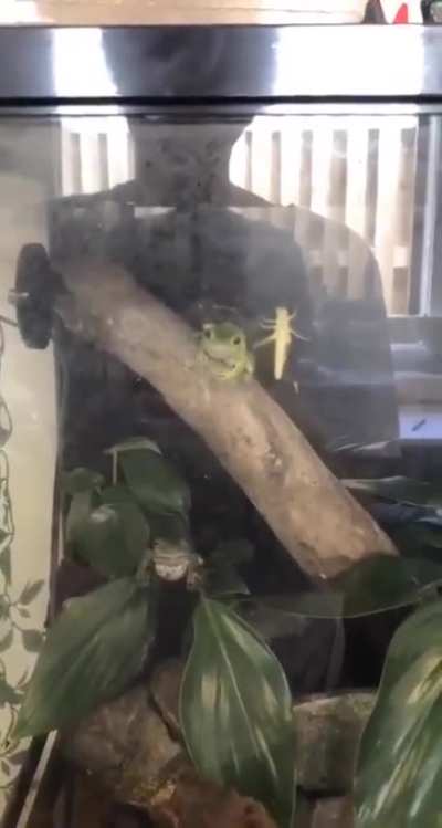 his reaction time its not saving him