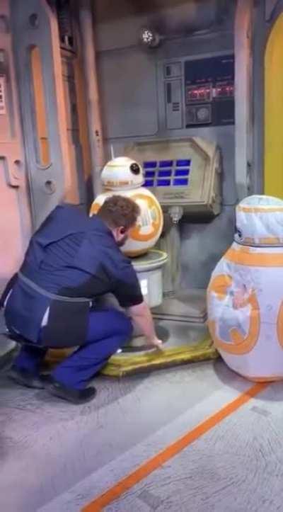 Unfathomable cuteness makes employees break character