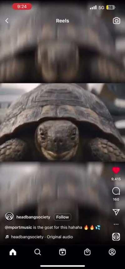 Yo this is great 😂👽