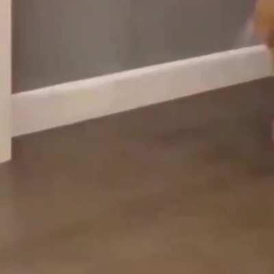 More. MORE. MOOOOORRRRREE!!