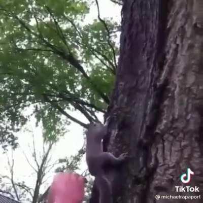 “You nursed him back to health now let him go”