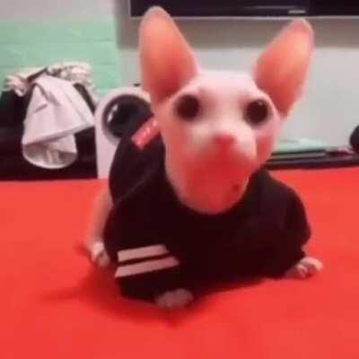 Kareyokee version coming soon!