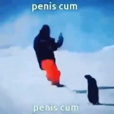 ahah penis cum