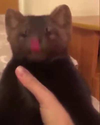 MaN sqUeezEs LifE OuT of hIS pET