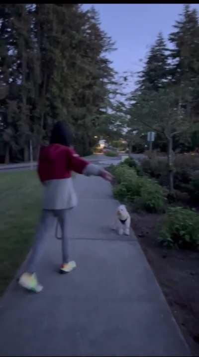 Crazy racist lady does her best joker impersonation