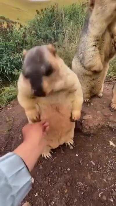 Hey hey no touching man!