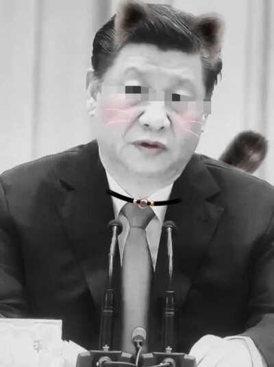 整了点阴间艺术，求晶哥放过