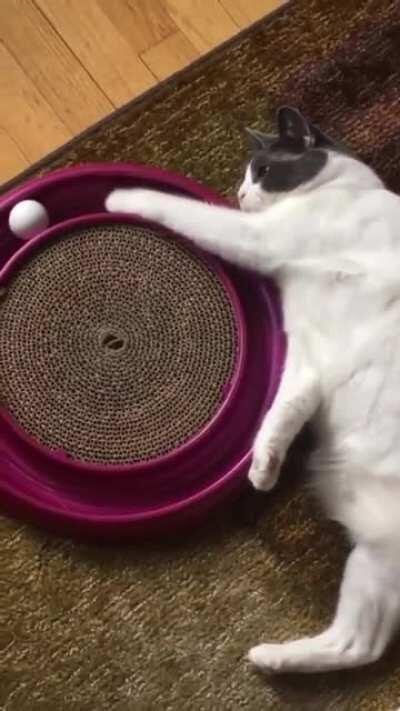 His day has been ruined.