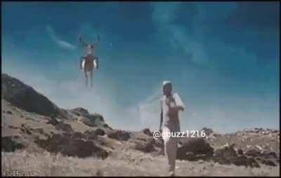 This new species of Deer threatens the existence of Humanity.