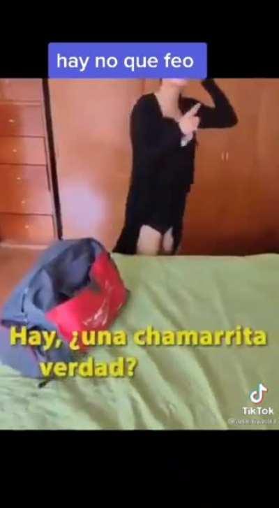 wismishu paga la taza uwu