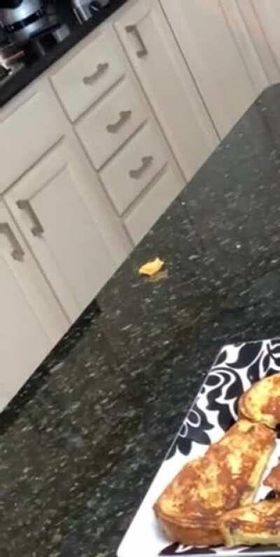 moon moon finds food