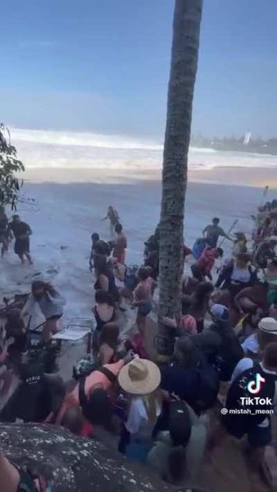 to watch the big surf from a safe distance