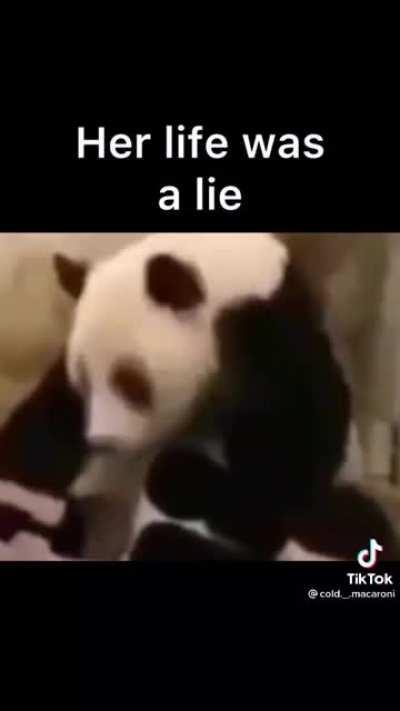 There is an impostor among us