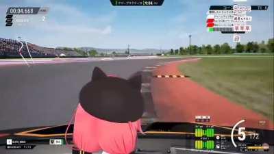 Brakes? What's that?