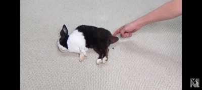 Автомат по выдаче говна